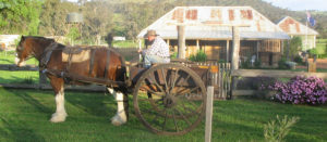 Bowning Horse and Cart
