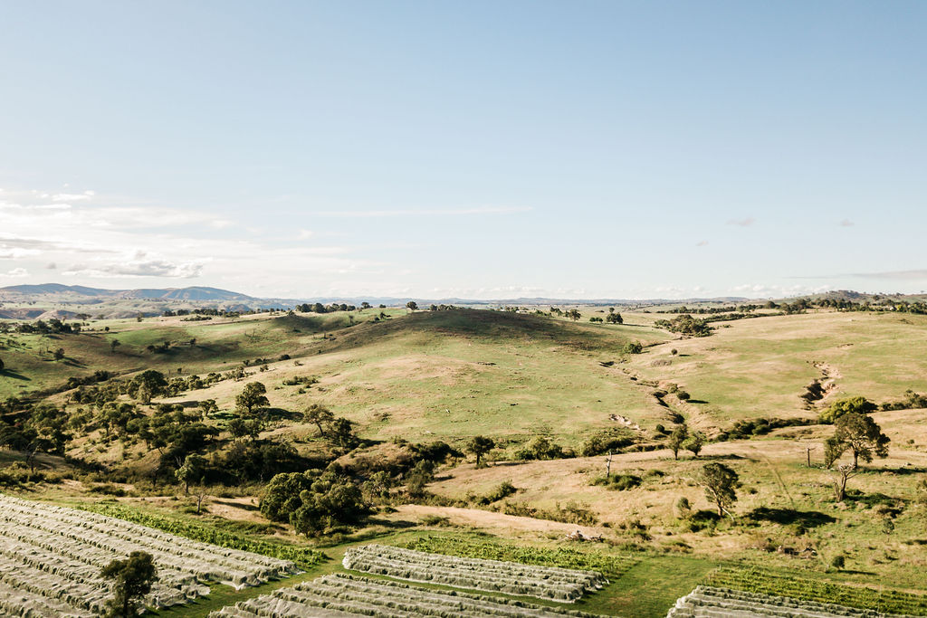 Murrumbateman mountainous cool climate wine region.