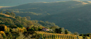 Wallaroo Brindabella Hills Winery Areial